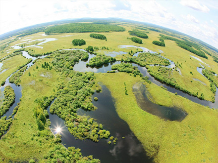 垃圾焚烧系统主要有以下几类